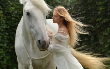 Intégrer les chevaux dans votre stratégie de développement professionnel : une approche innovante