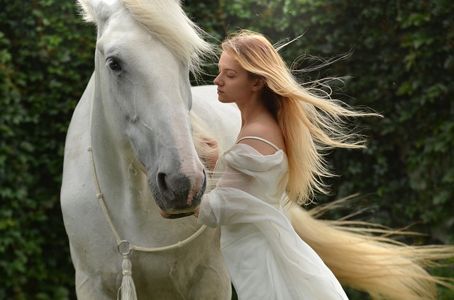 Intégrer les chevaux dans votre stratégie de développement professionnel : une approche innovante
